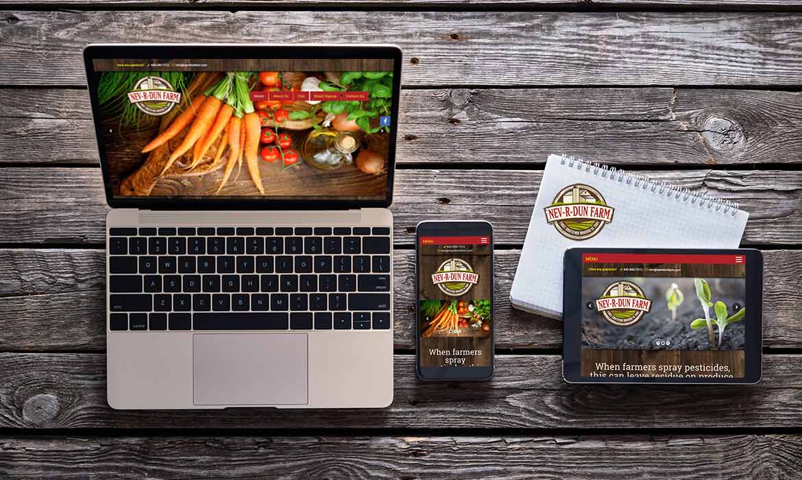 Website Development — sample 3