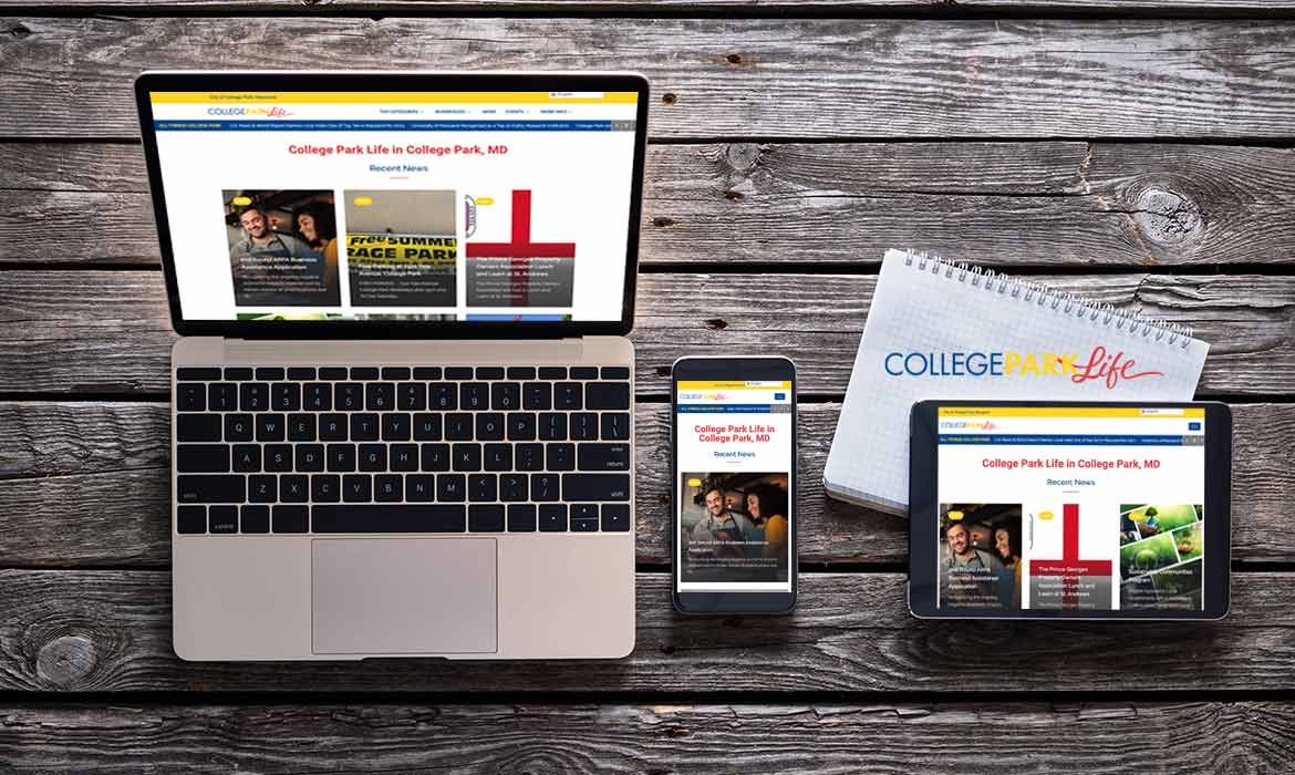 Website Development